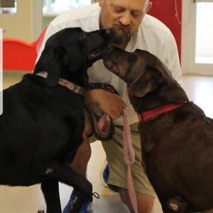 Meet your Posher, Dan